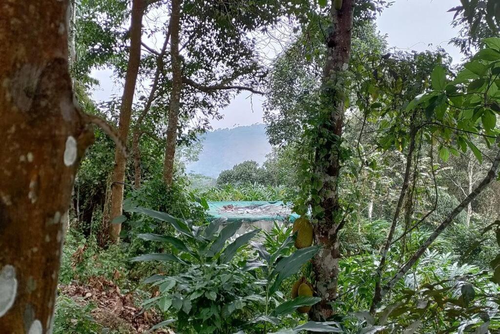 Coffee Camp Home Stay With Tree House Kattappana Exterior foto